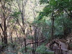 -大岭沟猕猴桃谷风景区