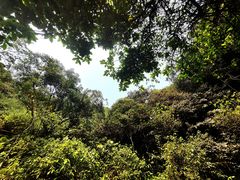 -海口火山口国家地质公园