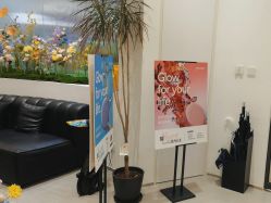 -RUMI日弥美容会所