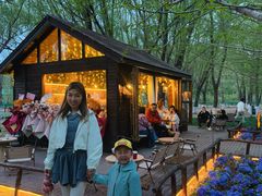 -长白岛森林公园