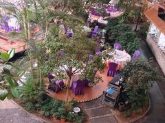 -九尊食上(生态园林酒店)