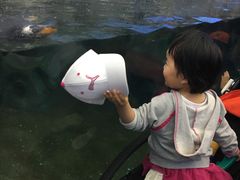 -卡尔加里动物园