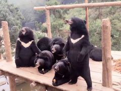 -大连森林动物园