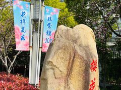 -高东镇樱花园