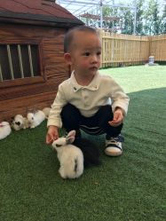 -萌宠亲子动物乐园(槐房万达店)