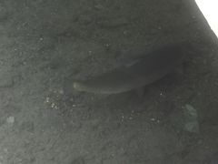 -水磨沟公园