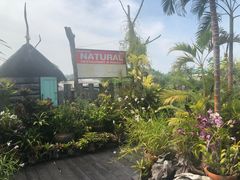 -自然餐厅(Phuket)