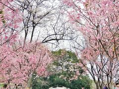 -凤凰沟景区