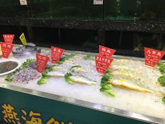 -宝燕壹号(徐汇店)
