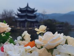 -台州府城(东湖)