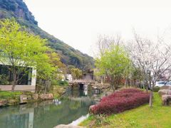 -湘湖金融镇