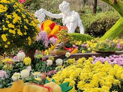 -南山植物园