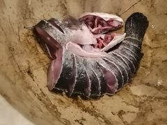 -云中鱼蒸汽石锅鱼(川沙百联店)