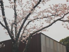 -龙美术馆(西岸馆)