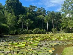 -中国科学院西双版纳热带植物园