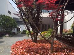-阳澄湖半岛旅游度假区