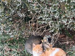 -南通博物苑-崇川人民公园