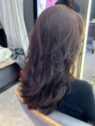 -藤野造型烫发染发