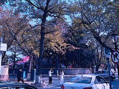 -八大关景区