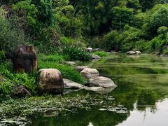 -八大山人梅湖景区