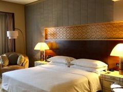 -西安赛瑞喜来登大酒店