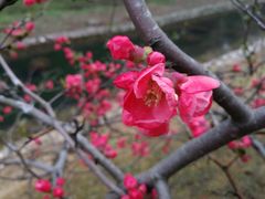 -宜兴龙背山森林公园
