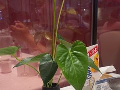 -眉州东坡(鸿坤店)