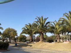 -杭州第一世界大酒店·云曼温泉