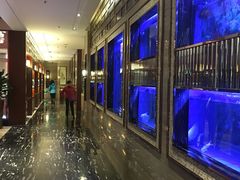 大堂-恒宝和宴(合生广场店)