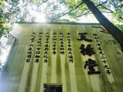 -杭州半山国家森林公园