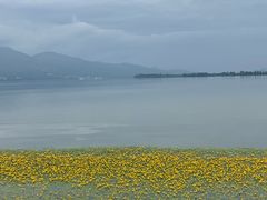 -西昌邛海湿地
