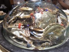 -蓝珊甄选海鲜自助·火锅大排档(近阿那亚店)