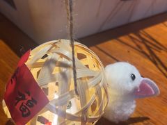 -本色.小马哥烧烤(五一路总店)