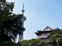 -南京古林公园