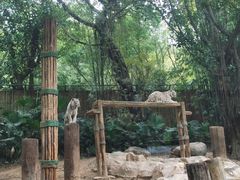 -广州长隆野生动物世界