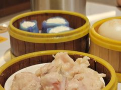 -东方早茶 海鲜•青岛菜(国信体育中心店)