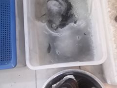 -水韵·渔家臻品私房菜(中庙店)