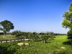 -汉长安城未央宫国家考古遗址公园