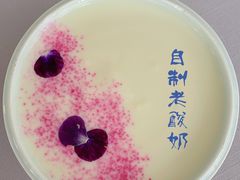 自制老酸奶-会仙楼(金融街店)