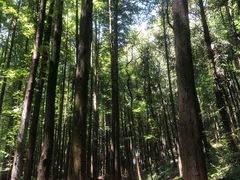 -山王坪喀斯特国家生态公园