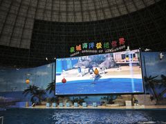-泉城欧乐堡海洋极地世界