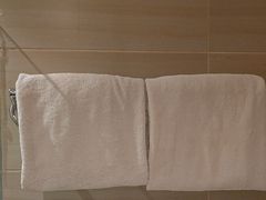 -希迪特谷中城酒店