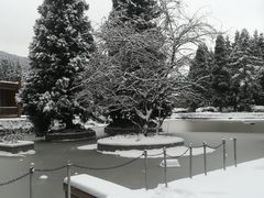 -武陵山森林公园