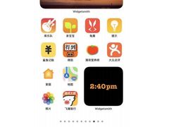 -Apple零售店(深圳益田假日广场店)