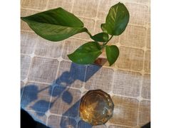 -微饮cafe