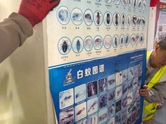 -上海科技馆(地铁站)