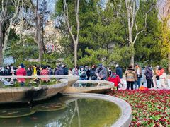 -人民公园-相亲角