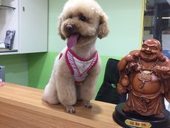 -酷狗靓猫宠物·洗护·美容·寄养(航北路店)