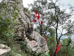 -涂山风景区