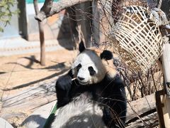 -青藏高原野生动物园